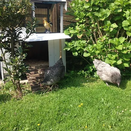 Le Jardin Des Poules *