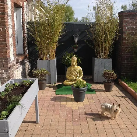 Le Jardin Des Poules * Thietreville